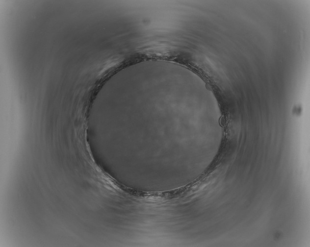 X0000097671297200803142145
