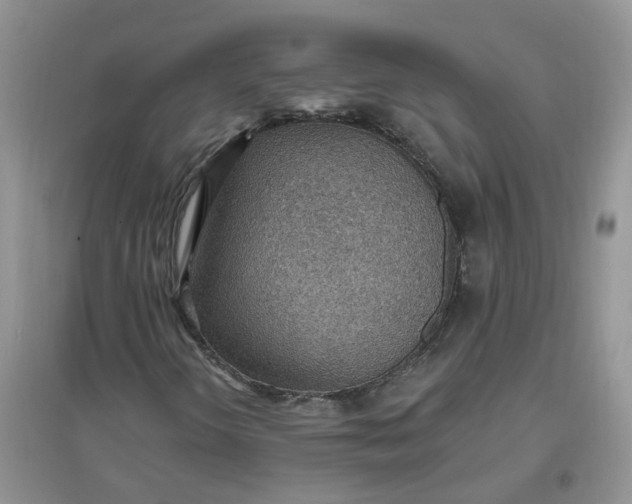 X0000097671298200803142145
