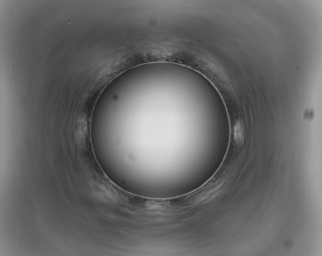 X0000097671299200803142145