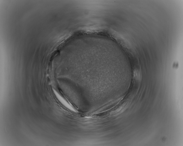 X0000097671300200803142145