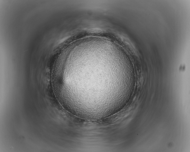 X0000097671301200803142145