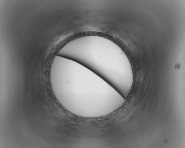 X0000097671303200803142145