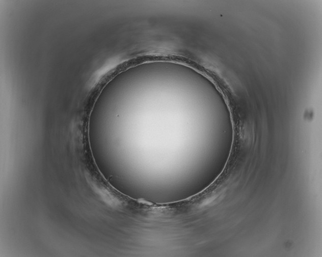 X0000097671304200803142146
