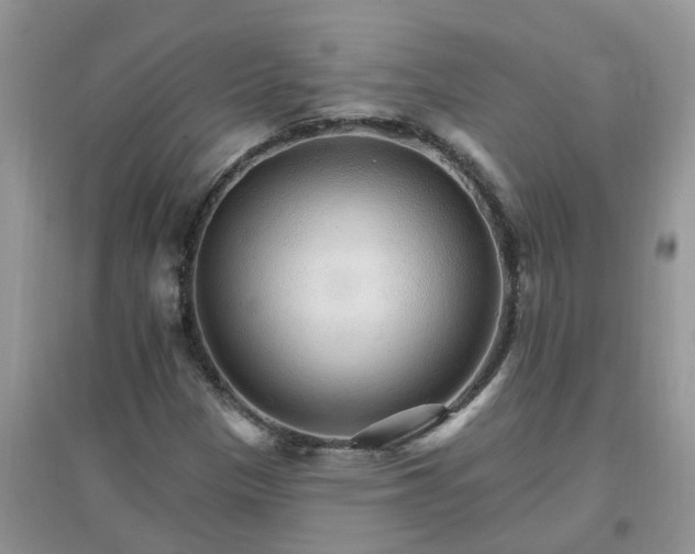 X0000097671305200803142146