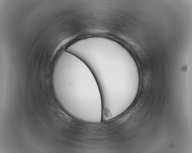X0000097671306200803142146