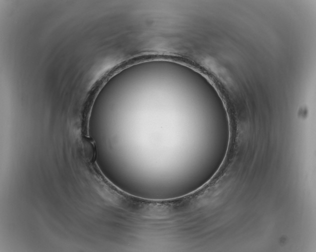 X0000097671307200803142146