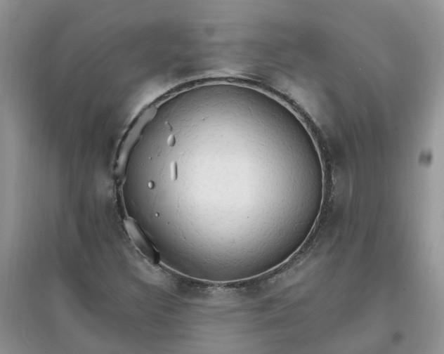 X0000097671308200803142146