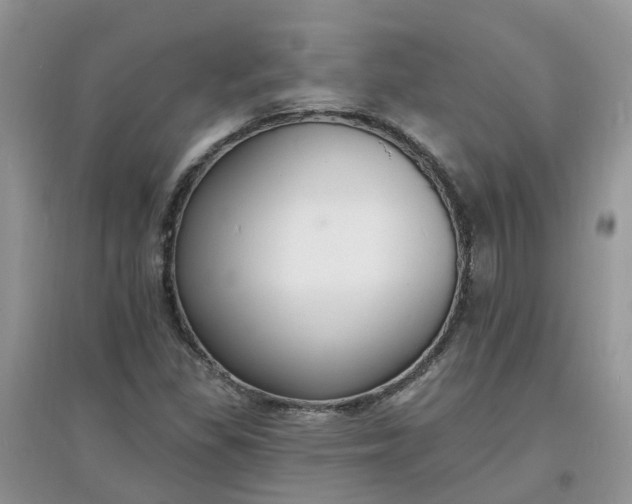 X0000097671309200803142146