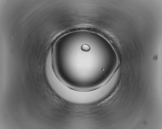 X0000097671313200803142146