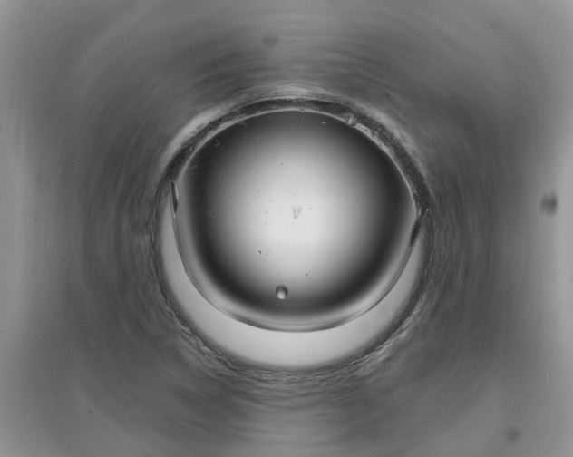 X0000097671314200803142146