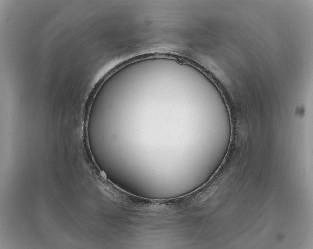 X0000097671316200803142146