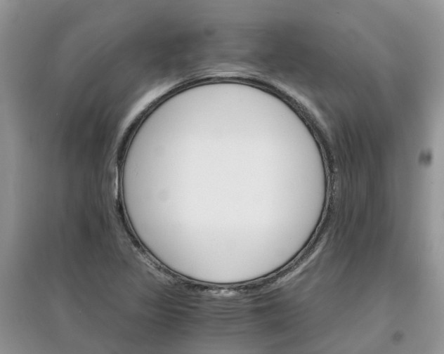 X0000097671317200803142146