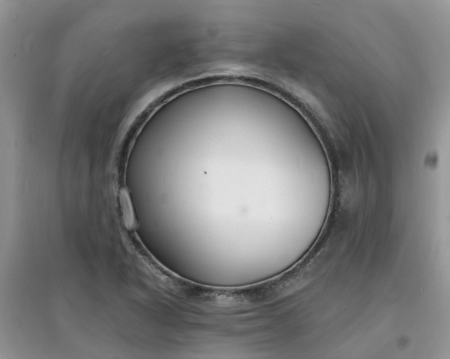 X0000097671318200803142146