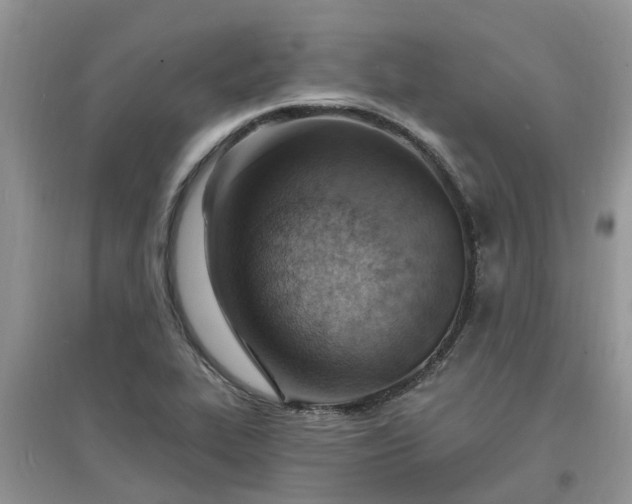 X0000097671319200803142146