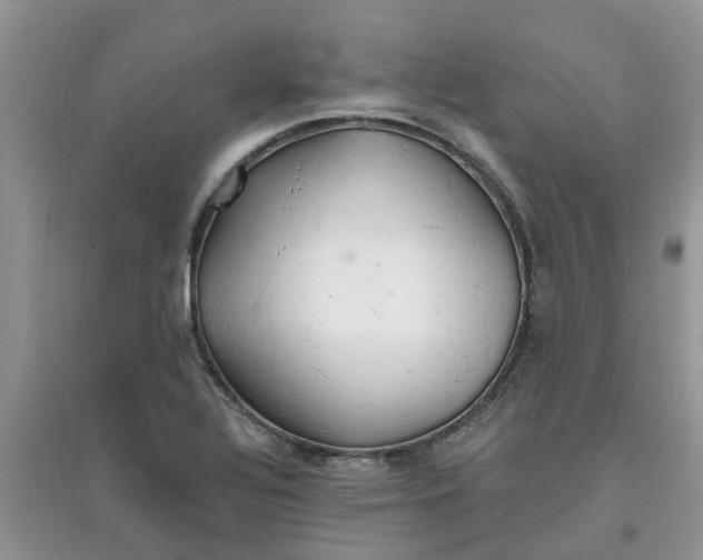 X0000097671320200803142146