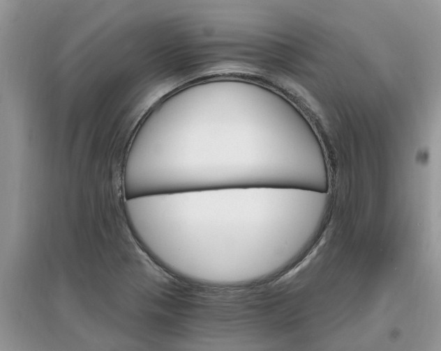 X0000097671321200803142146