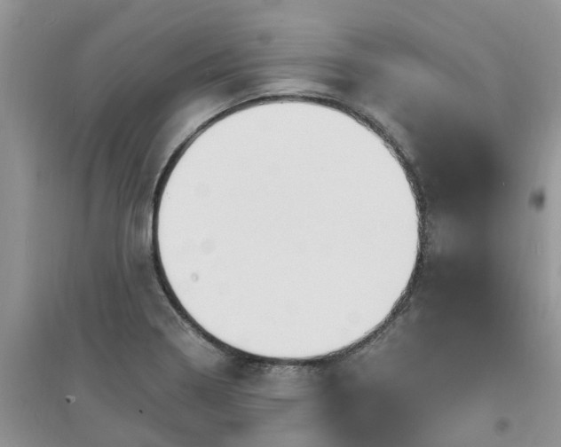 X0000097671322200803142146