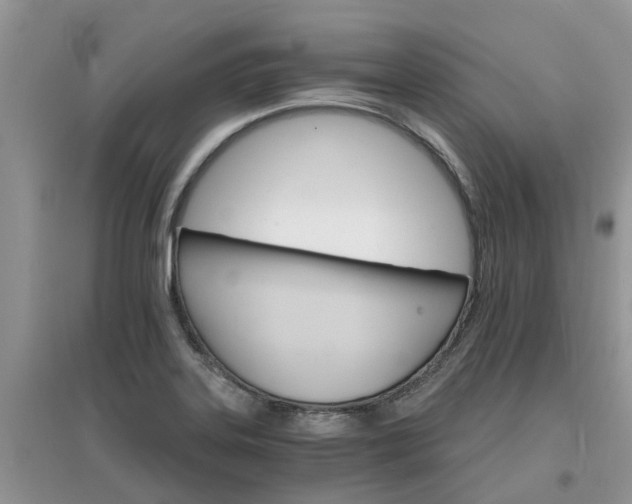 X0000097671323200803142146