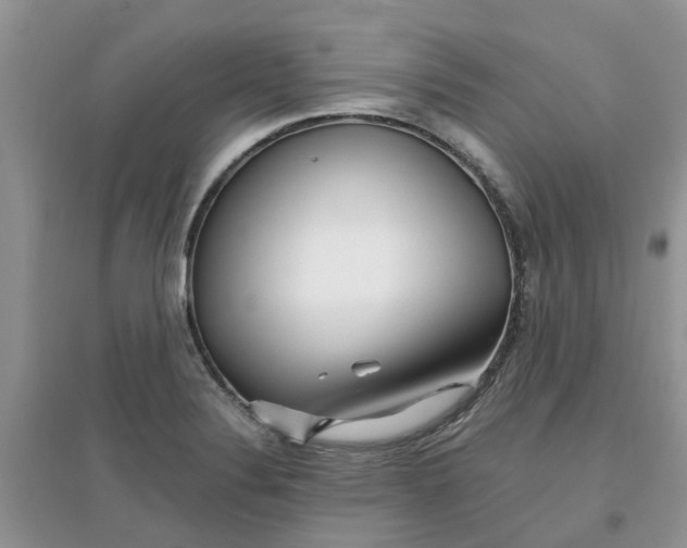 X0000097671324200803142146