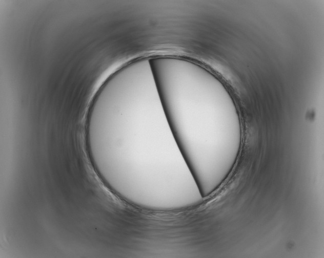 X0000097671325200803142146