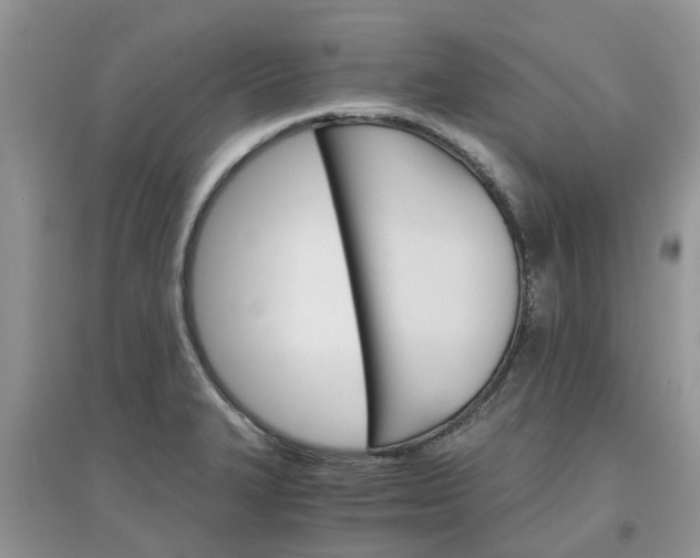 X0000097671327200803142146
