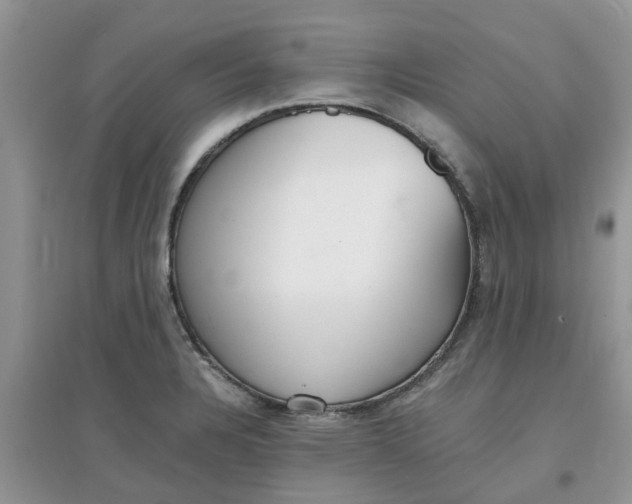 X0000097671328200803142146