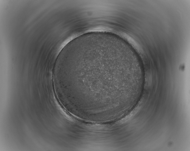 X0000097671329200803142146
