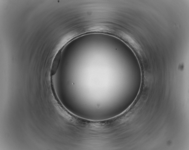 X0000097671330200803142146