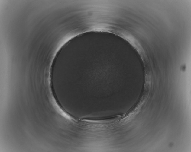 X0000097671331200803142146