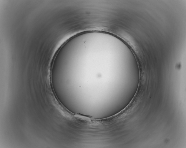 X0000097671332200803142146
