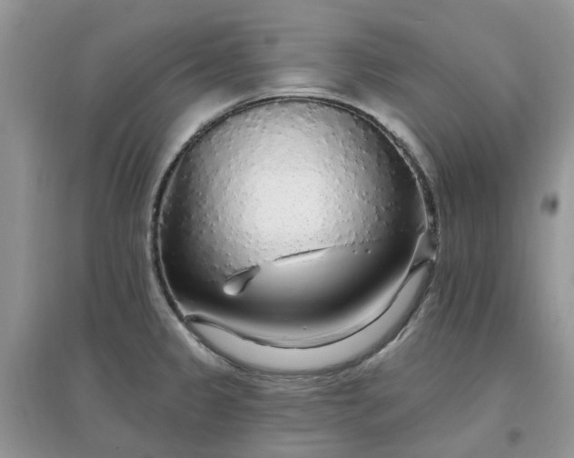 X0000097671333200803142146