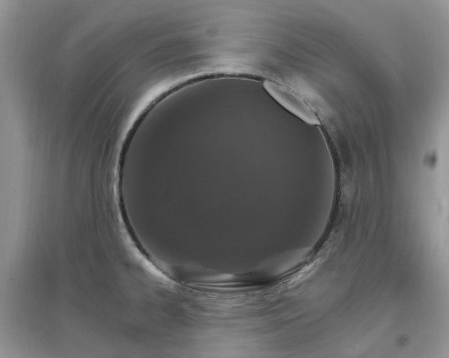 X0000097671334200803142146