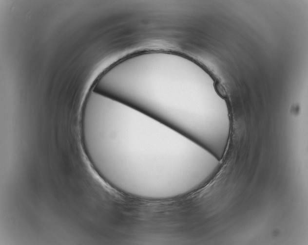 X0000097671335200803142146