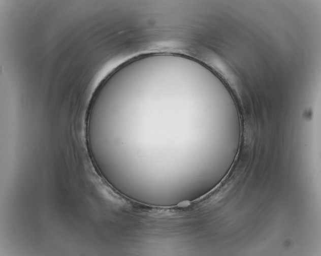 X0000097671336200803142146