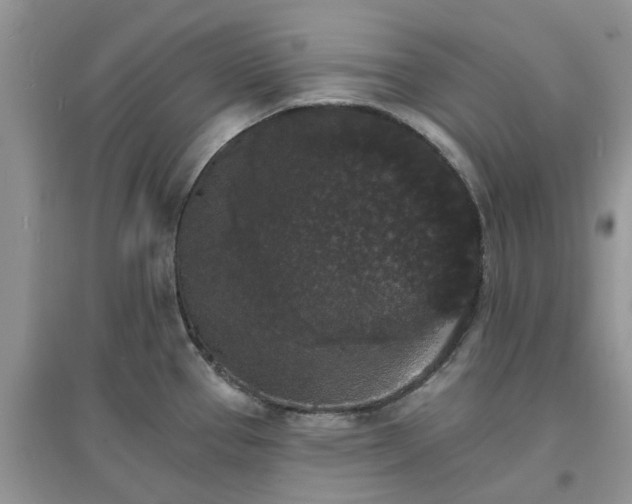 X0000097671337200803142146