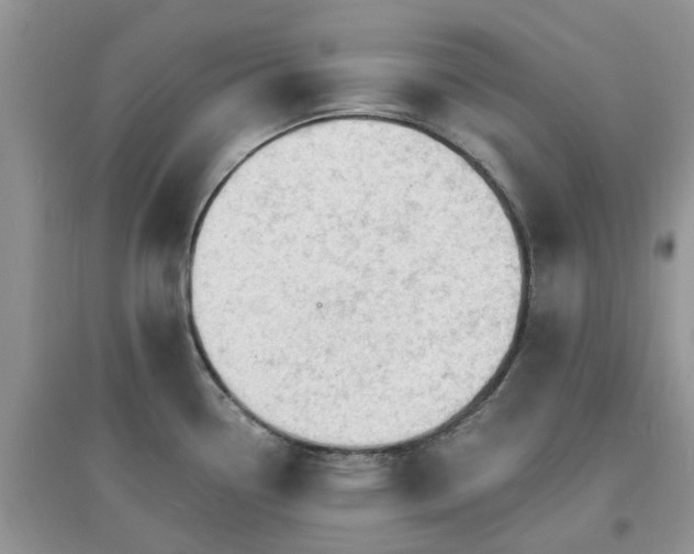 X0000097671338200803142146