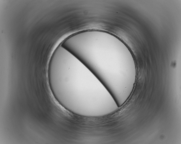 X0000097671339200803142146