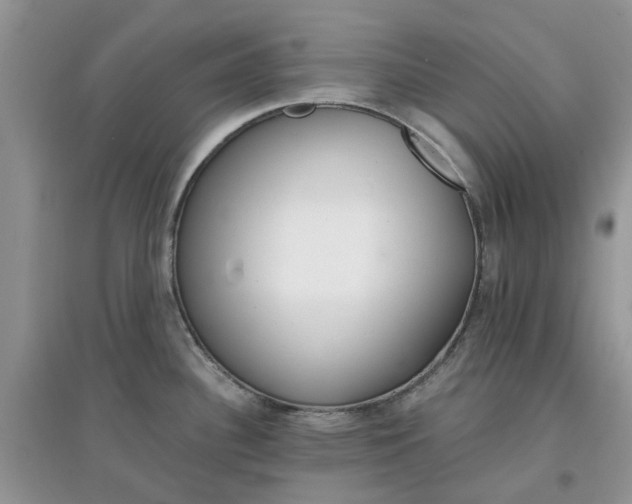 X0000097671340200803142146