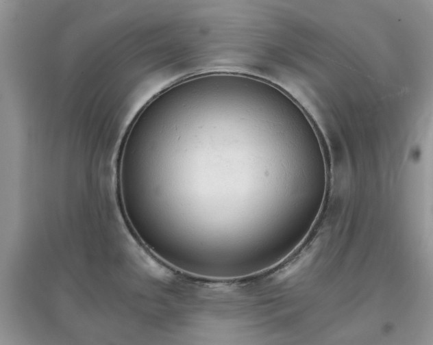 X0000097671341200803142146