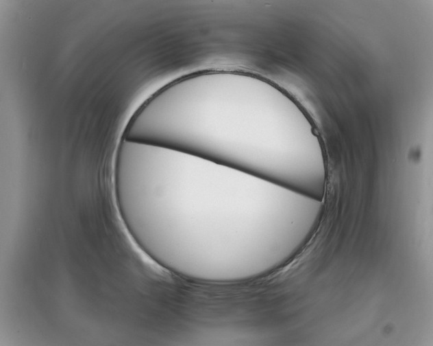 X0000097671343200803142146