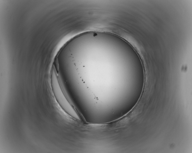 X0000097671344200803142146
