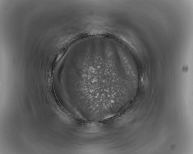 X0000097671348200803142145