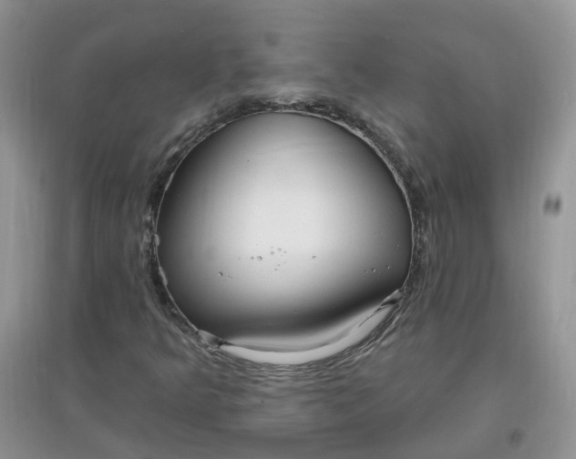 X0000097671349200803142145