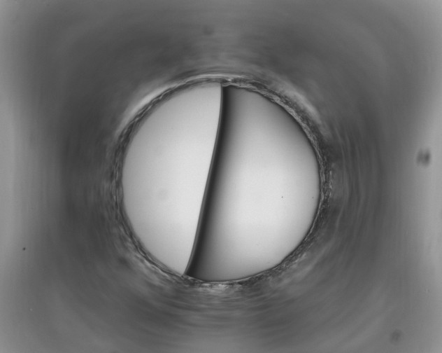 X0000097671352200803142145