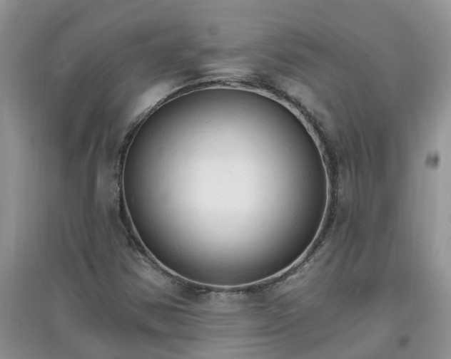 X0000097671354200803142145