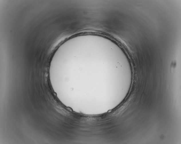 X0000097671355200803142145