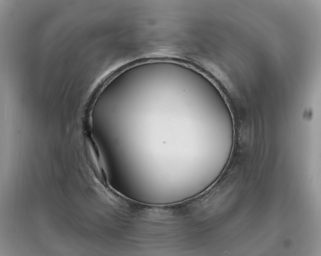 X0000097671356200803142145