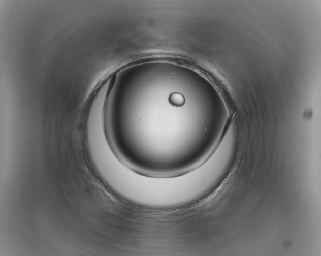 X0000097671357200803142145