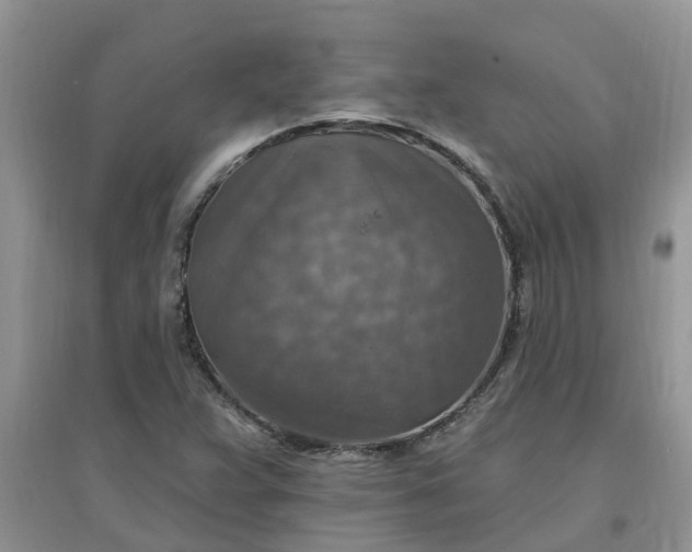 X0000097671359200803142145