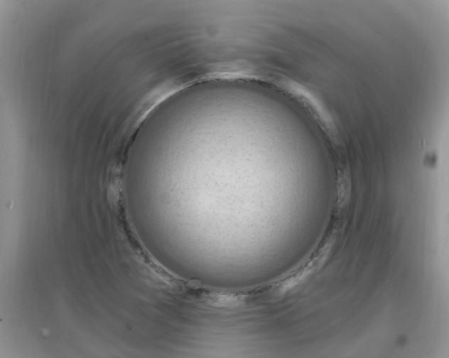 X0000097671361200803142145